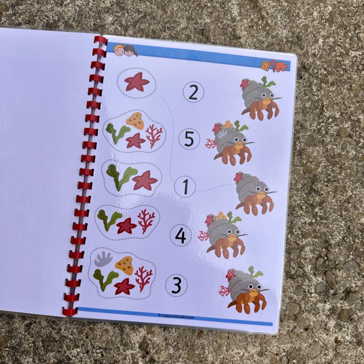 5