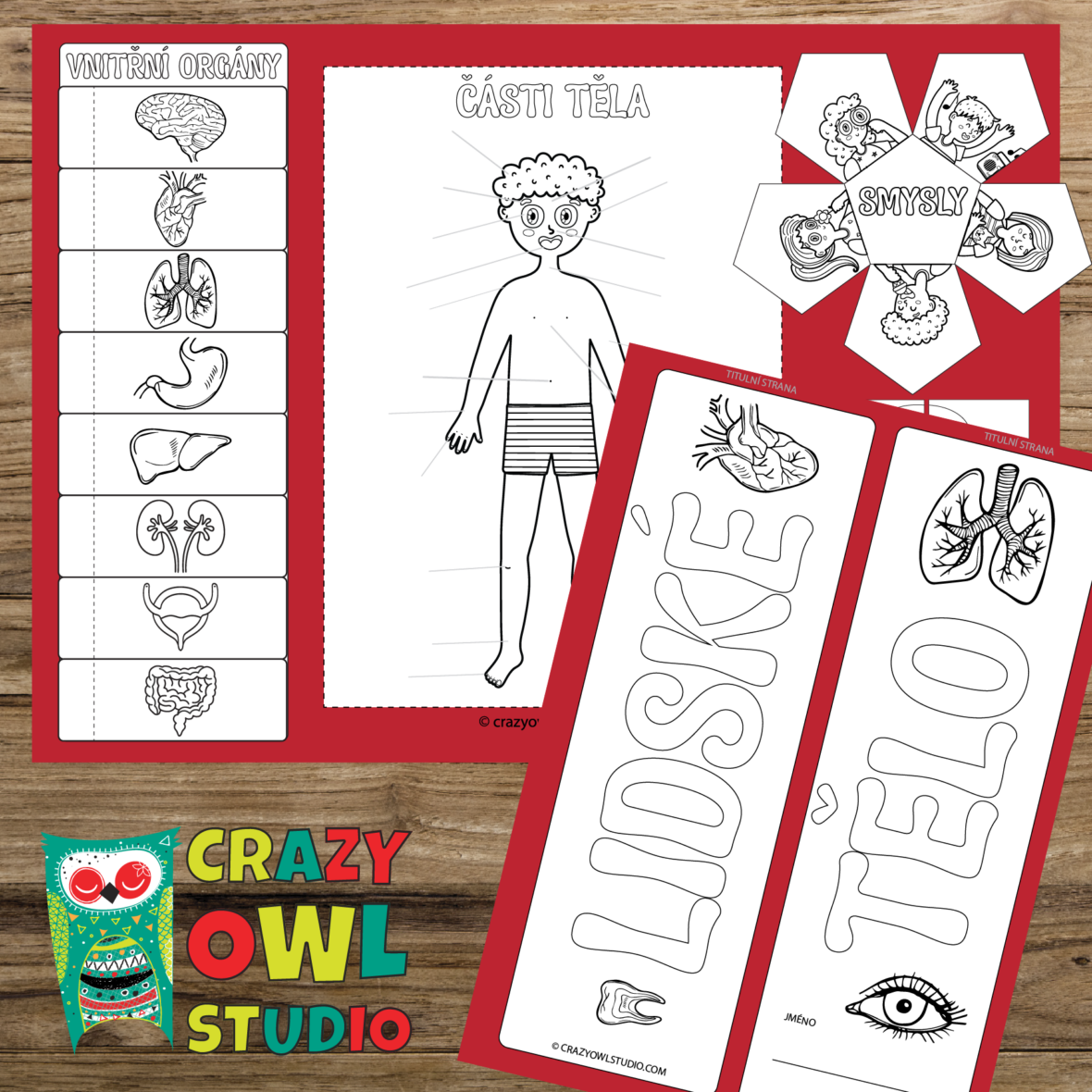 Lapbook LIDSKÉ TĚLO pro 1. – 3. ročník ZŠ